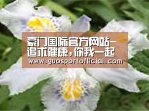 产品名称二