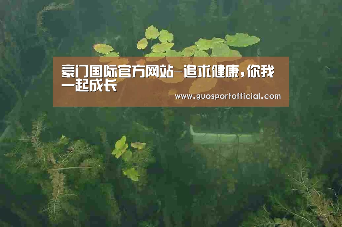 案例展示三