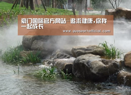 案例展示五
