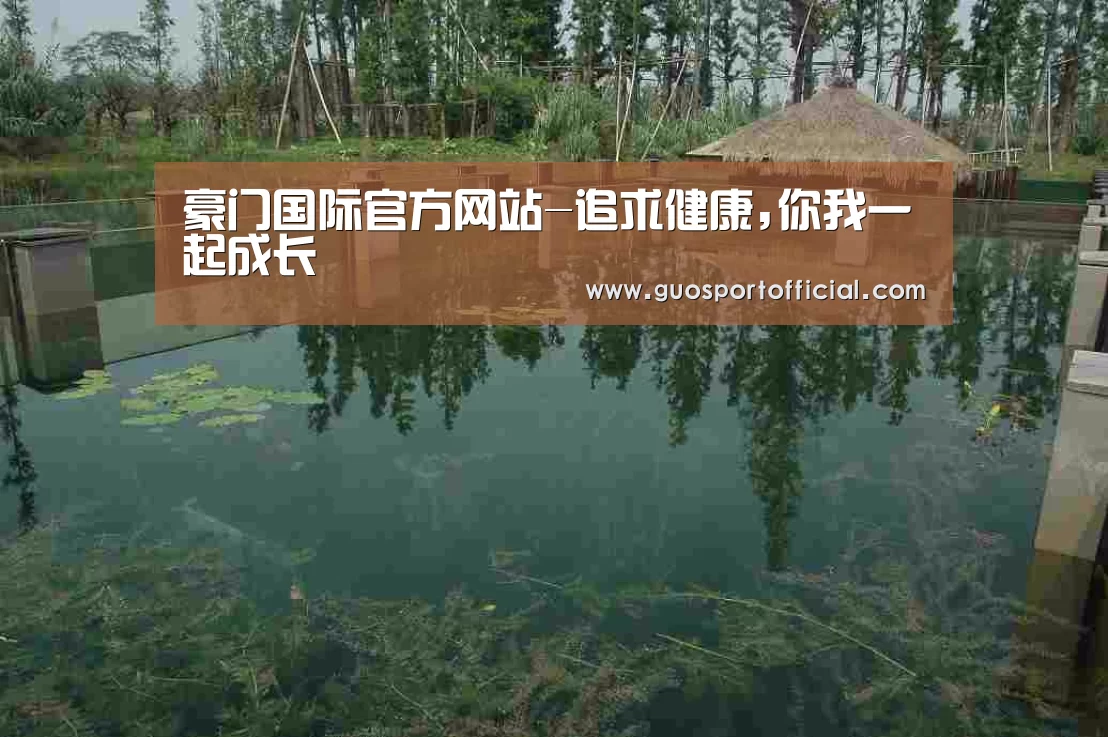案例展示二