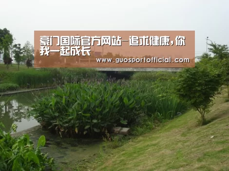 案例展示四