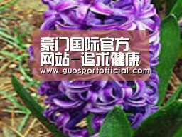 产品名称八