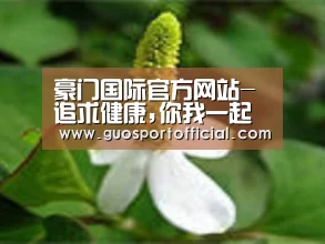 产品名称三