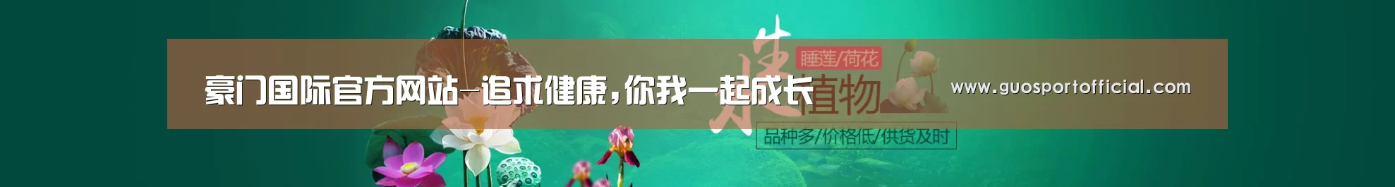鲜花水草花卉网站模板