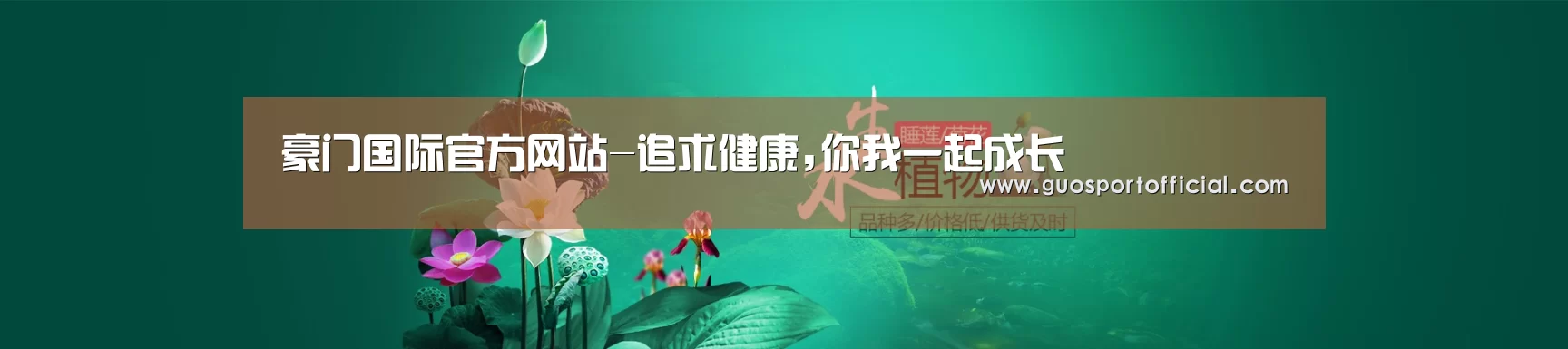 鲜花水草花卉网站模板