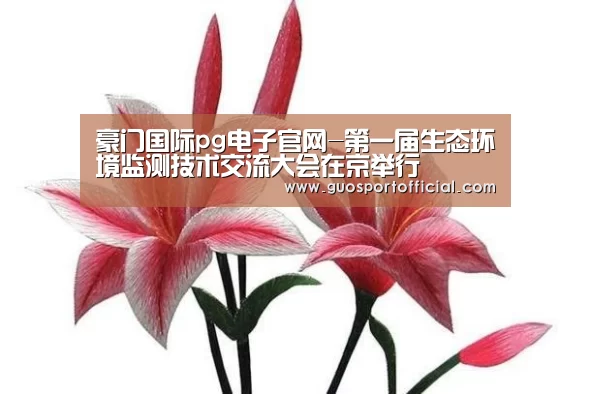 豪门国际pg电子官网-第一届生态环境监测技术交流大会在京举行(图1) 豪门国际注册入口