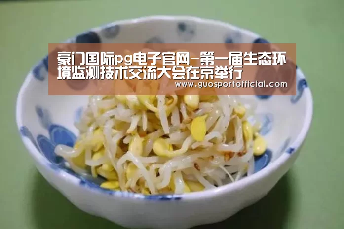 豪门国际pg电子官网-第一届生态环境监测技术交流大会在京举行(图3) 豪门国际注册入口