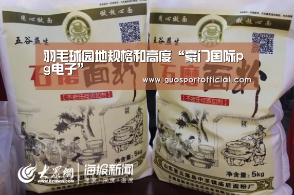 羽毛球园地规格和高度“豪门国际pg电子”(图1) 豪门国际官网