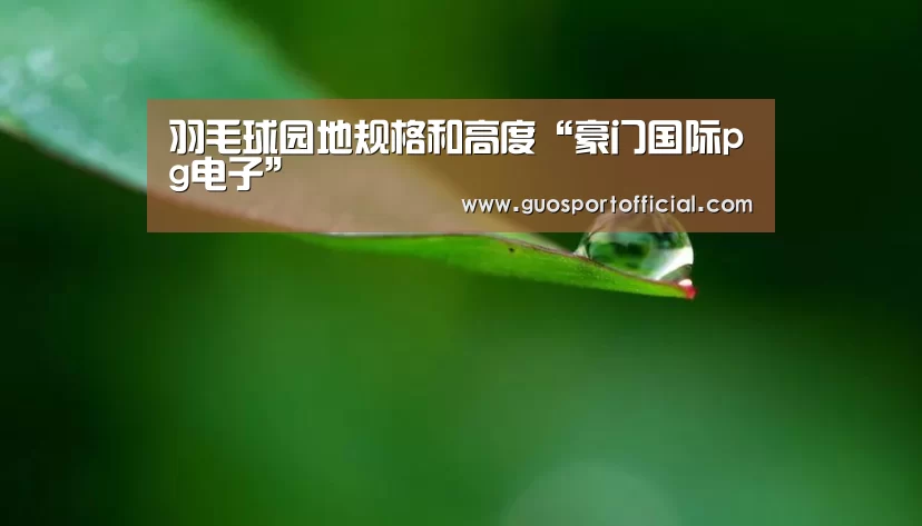 羽毛球园地规格和高度“豪门国际pg电子”(图4) 豪门国际pg电子