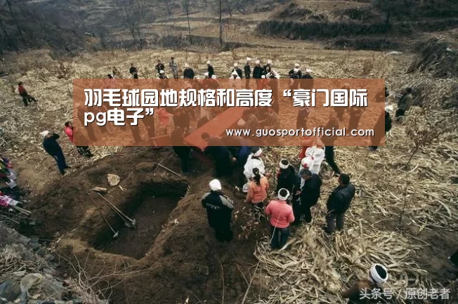羽毛球园地规格和高度“豪门国际pg电子”(图3) 豪门国际pg电子