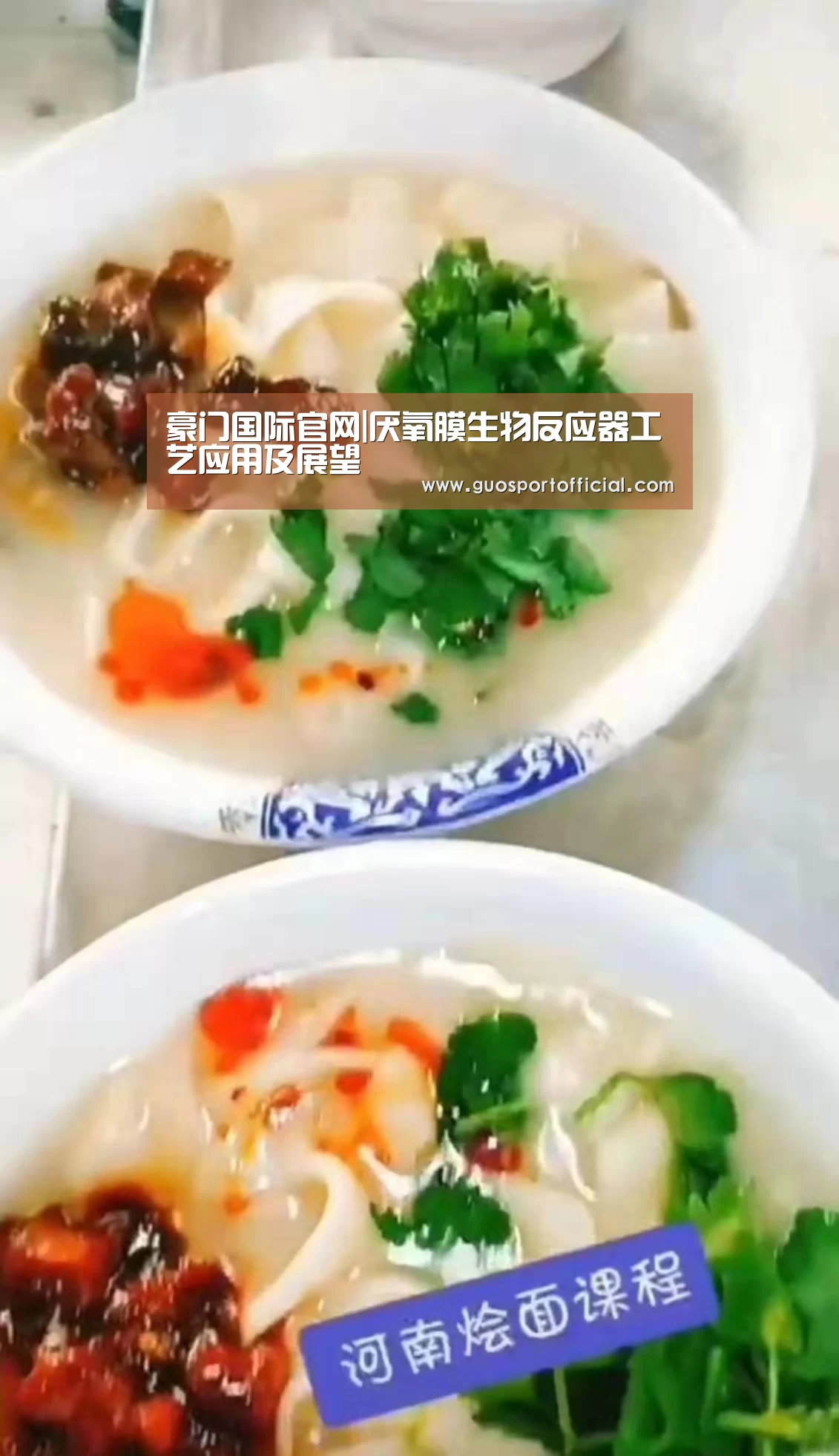 豪门国际官网|厌氧膜生物反应器工艺应用及展望(图1) 豪门国际官网
