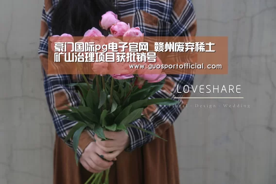 豪门国际pg电子官网_赣州废弃稀土矿山治理项目获批销号(图1) 豪门国际注册入口
