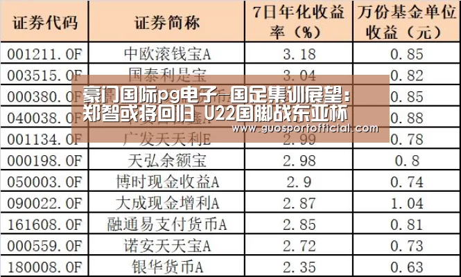 豪门国际pg电子-国足集训展望:郑智或将回归 U22国脚战东亚杯(图1) 豪门国际pg电子官网