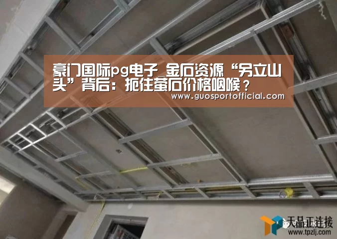 豪门国际pg电子官网